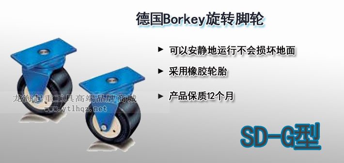 SD-G型Borkey旋轉腳輪圖片 SD-G型Borkey旋轉腳輪圖片