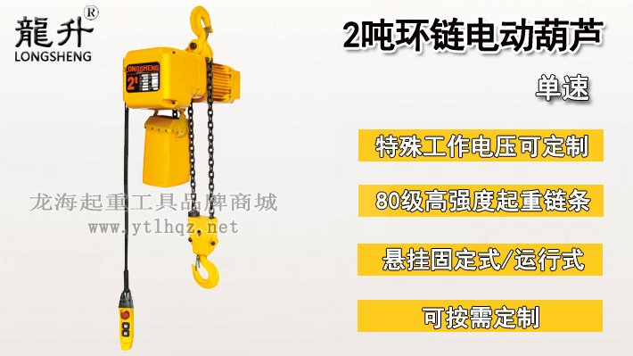 2噸環鏈電動葫蘆圖片