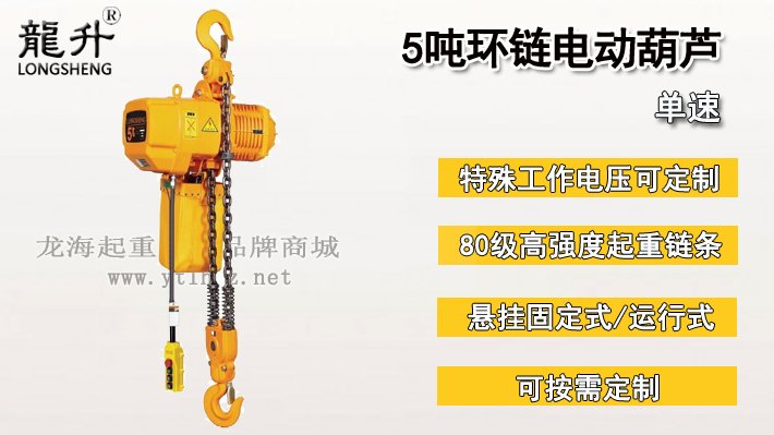 5噸環鏈電動葫蘆圖片 5噸環鏈電動葫蘆圖片